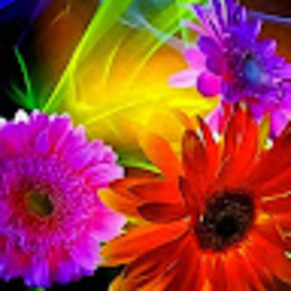 Meet your Posher, Momree - Picture 1 of 1